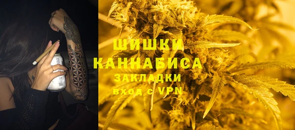 шишки Алексин