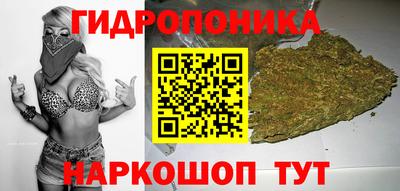 a pvp Краснодар