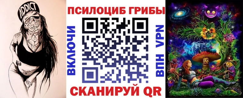 Псилоцибиновые грибы Psilocybine cubensis Кохма