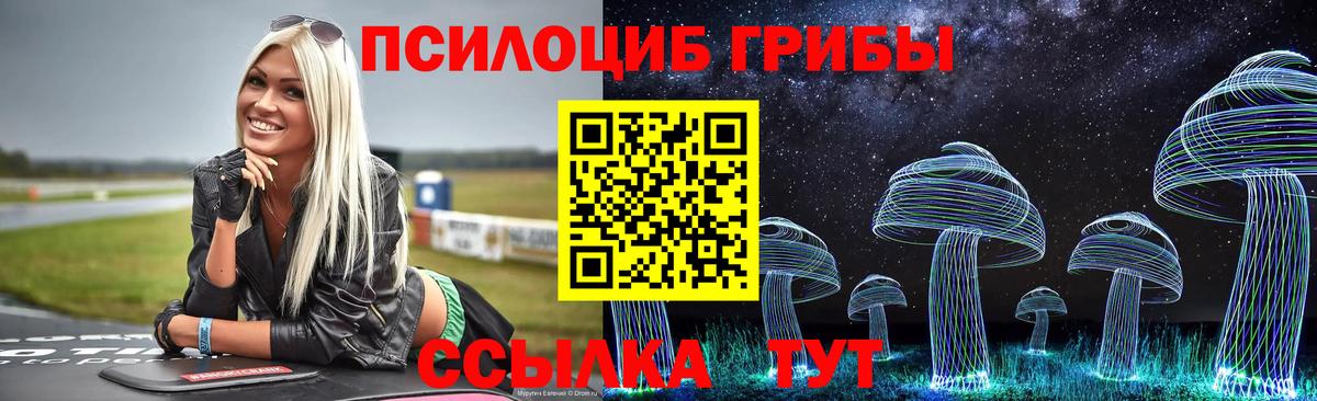 Псилоцибиновые грибы мухоморы Кохма